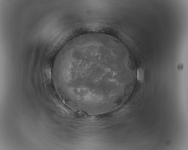 X0000111151155200906301330