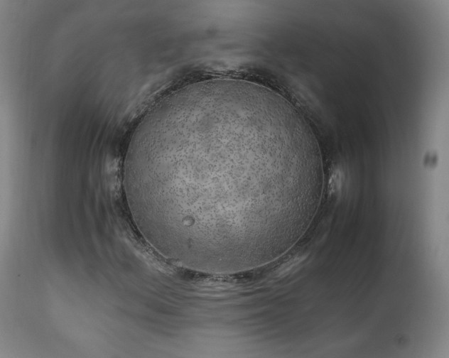 X0000111151156200906301330