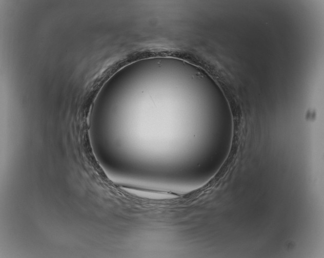 X0000111151157200906301330