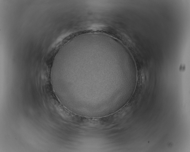 X0000111151158200906301330