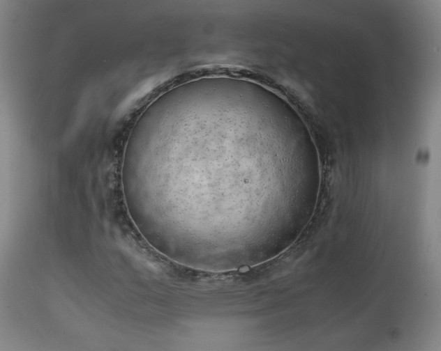 X0000111151159200906301330