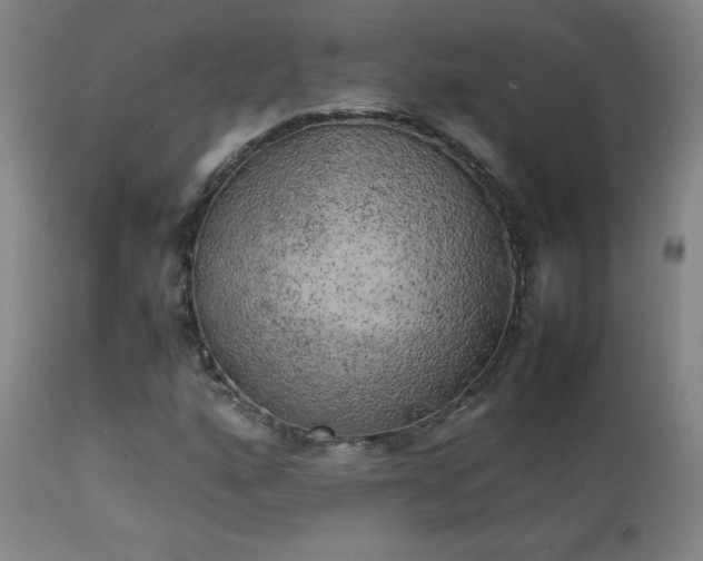 X0000111151160200906301330