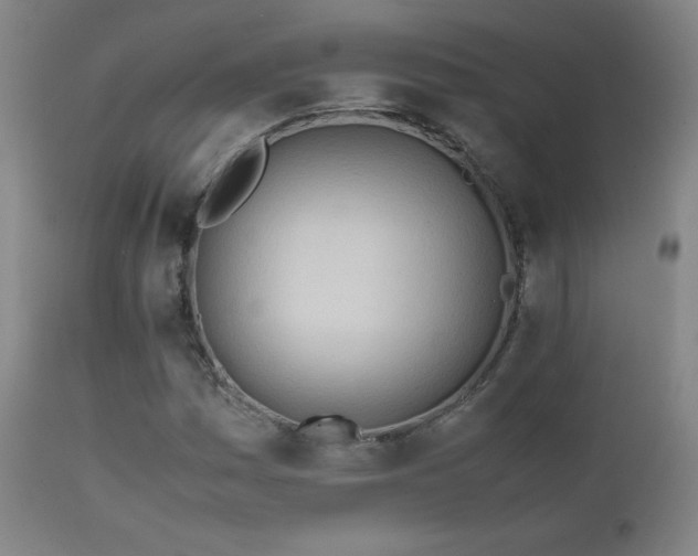 X0000111151161200906301330