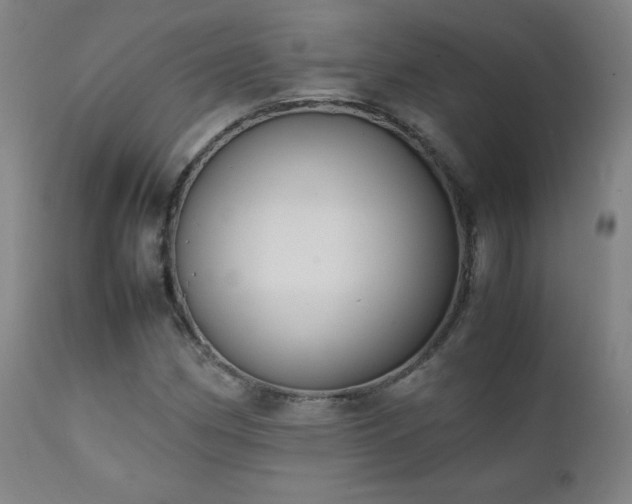 X0000111151162200906301330