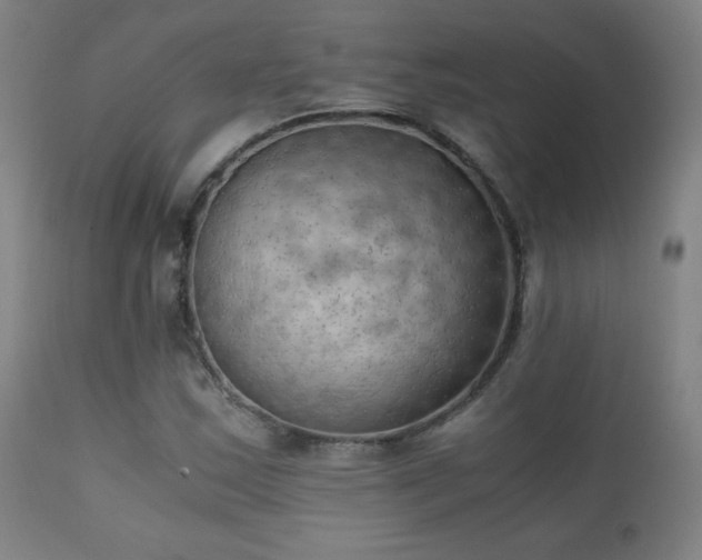 X0000111151163200906301330
