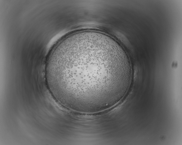 X0000111151164200906301330