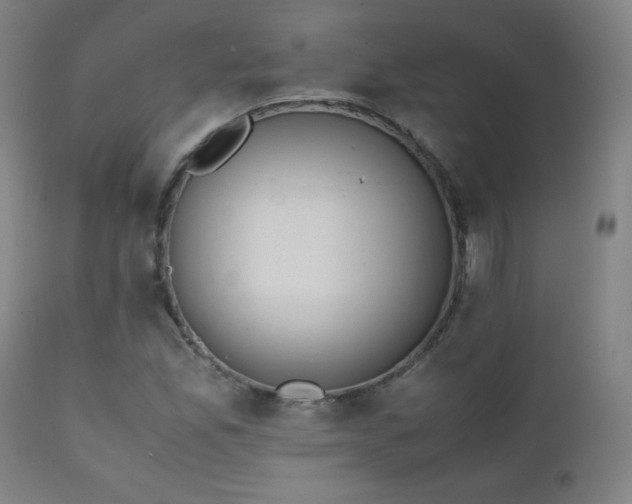 X0000111151165200906301330