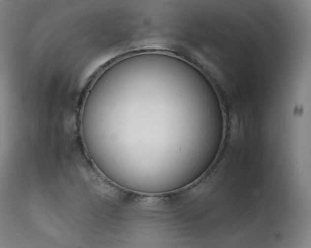 X0000111151166200906301330