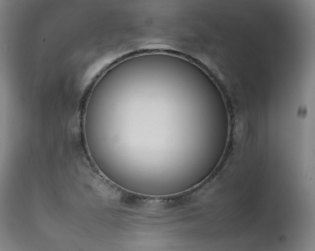 X0000111151167200906301330