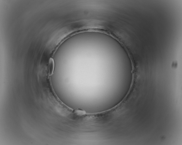 X0000111151169200906301330