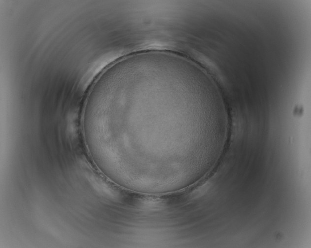 X0000111151170200906301330