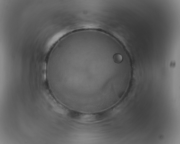 X0000111151171200906301330