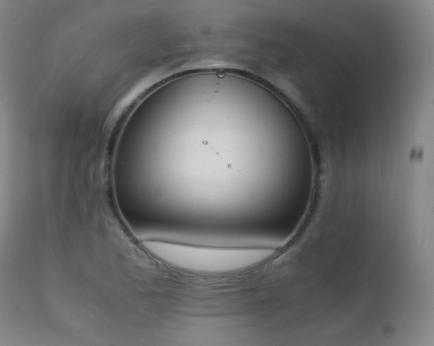 X0000111151173200906301330