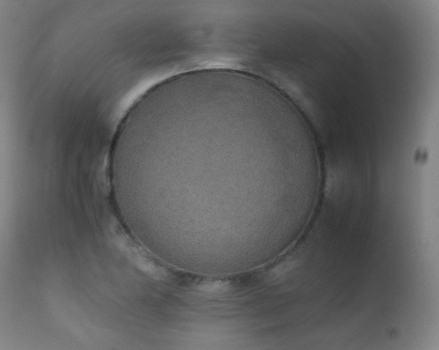 X0000111151174200906301330