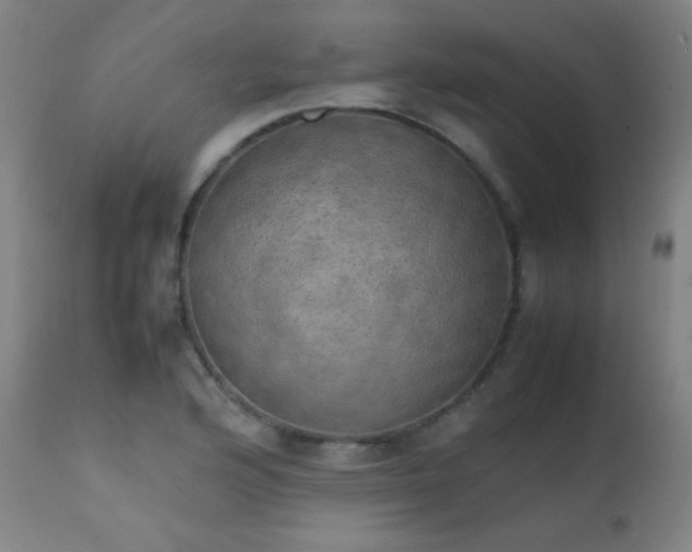 X0000111151176200906301330