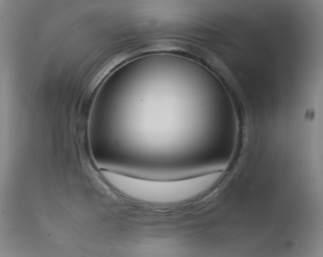 X0000111151177200906301330