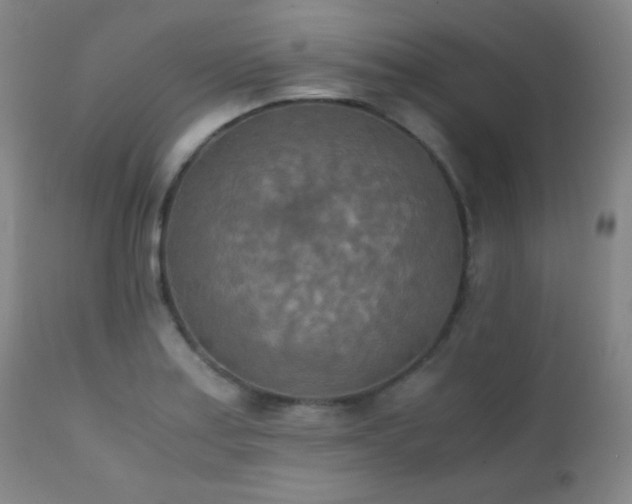 X0000111151179200906301330