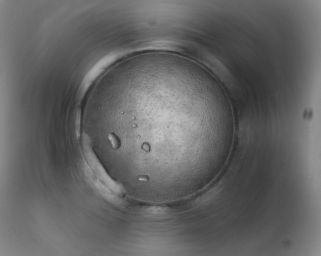 X0000111151180200906301330