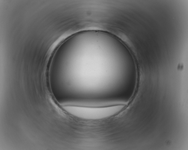 X0000111151181200906301330