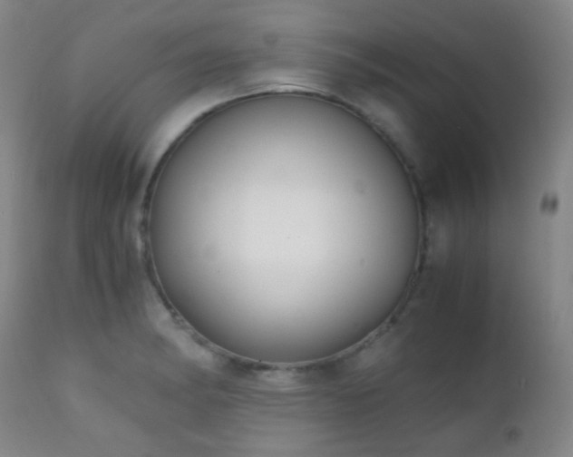 X0000111151182200906301330