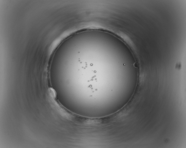 X0000111151183200906301330