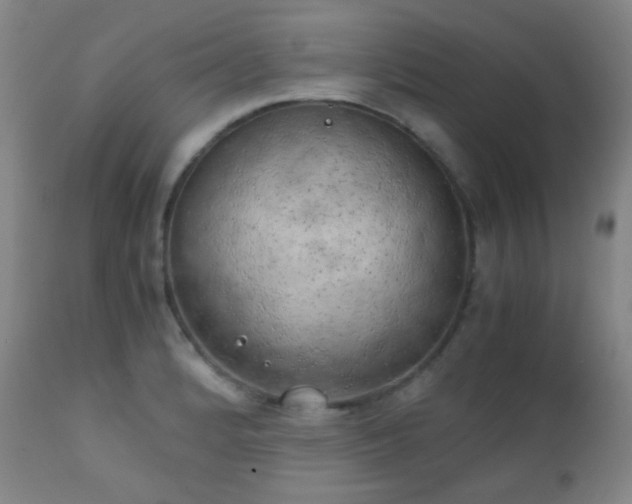 X0000111151184200906301330