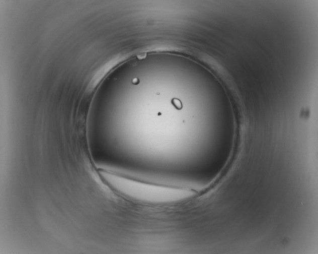 X0000111151185200906301330