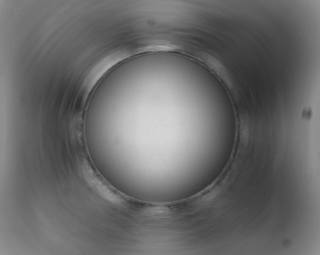 X0000111151186200906301330