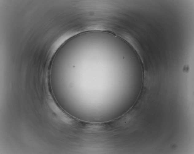 X0000111151187200906301330