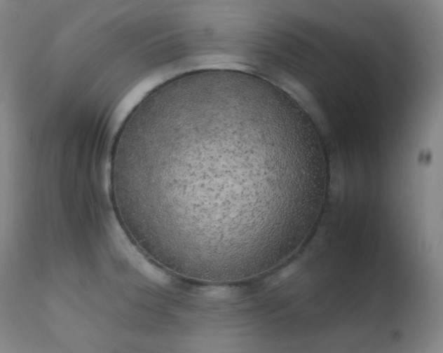 X0000111151188200906301330