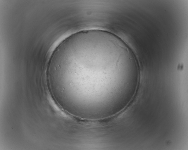 X0000111151189200906301330