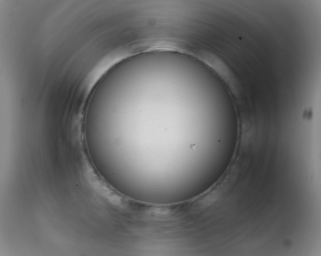 X0000111151190200906301330