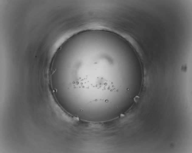 X0000111151191200906301330
