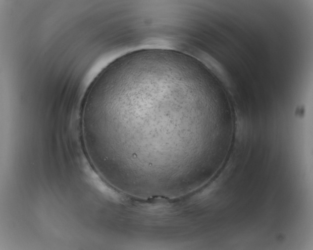 X0000111151192200906301330