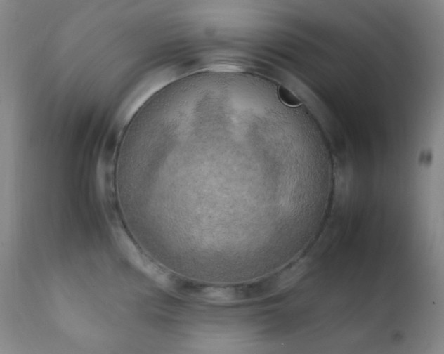 X0000111151194200906301330