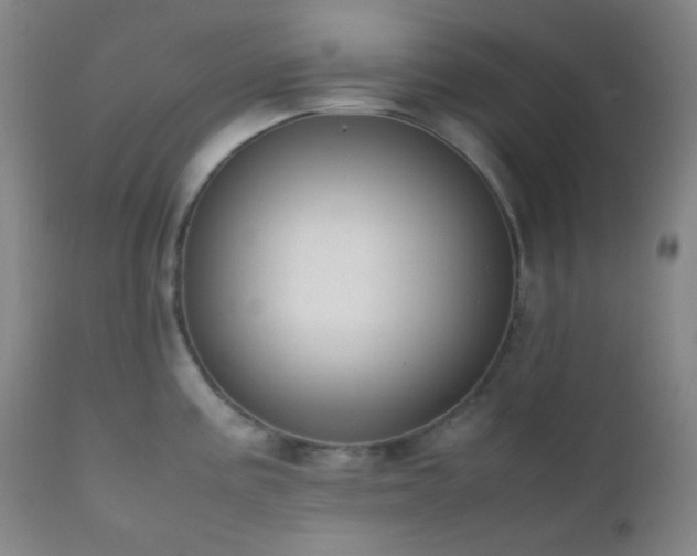 X0000111151195200906301330