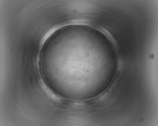 X0000111151196200906301330