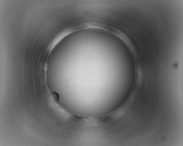 X0000111151198200906301330