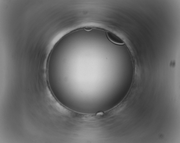 X0000111151199200906301330