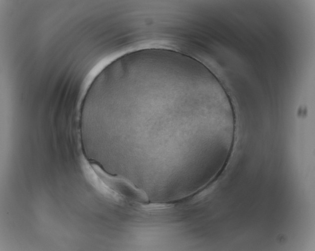 X0000111151200200906301330