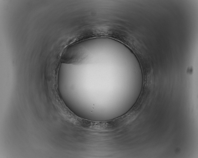 X0000111151201200906301329