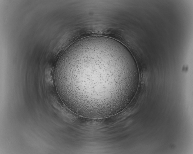 X0000111151202200906301329
