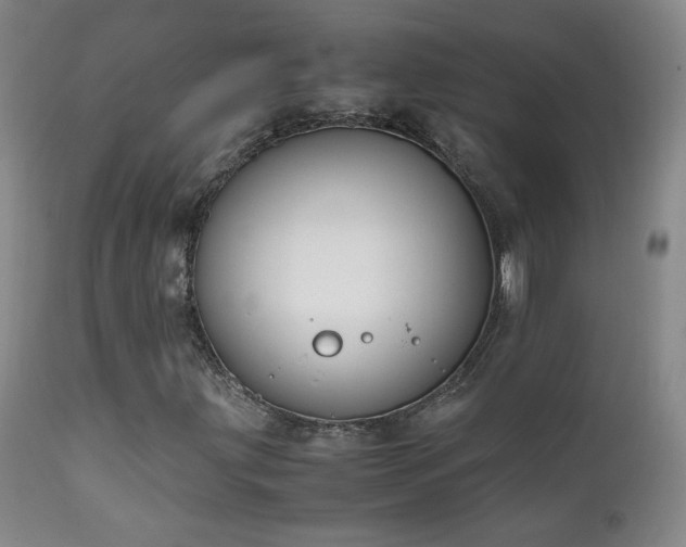X0000111151203200906301329
