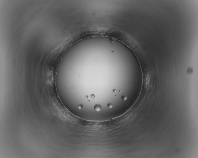 X0000111151204200906301329