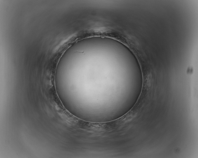 X0000111151205200906301329