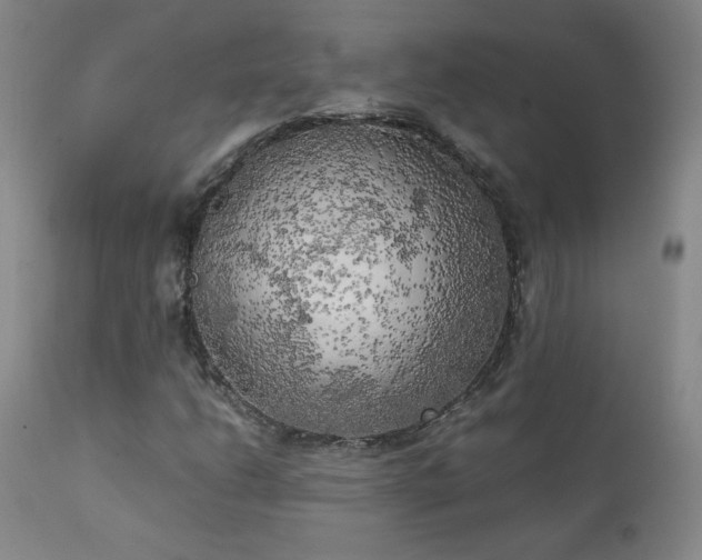 X0000111151206200906301329