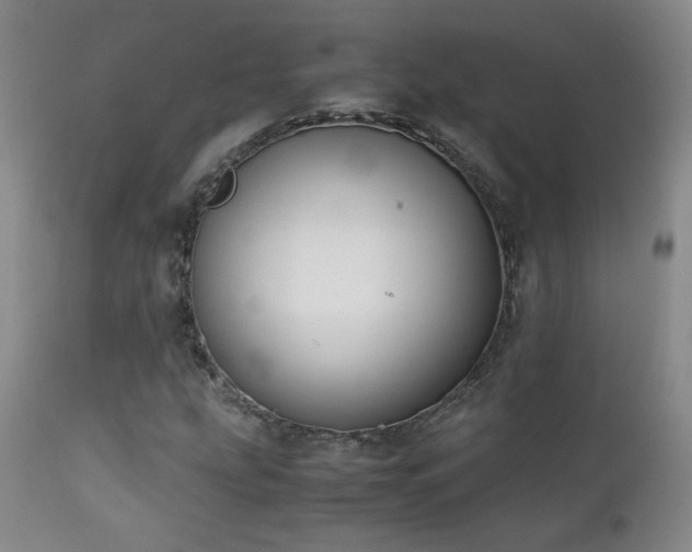 X0000111151207200906301329