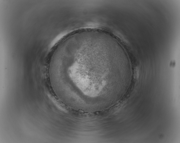 X0000111151208200906301329
