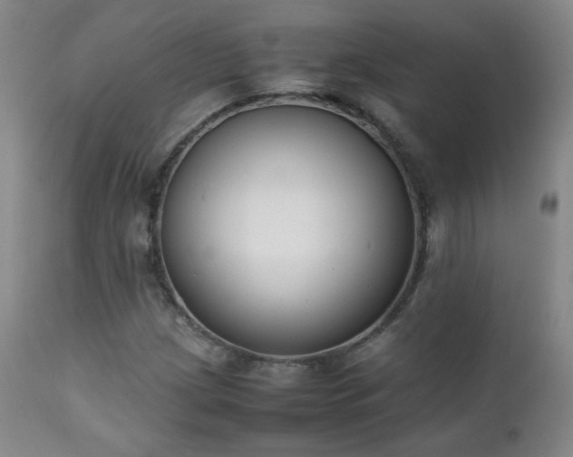 X0000111151209200906301329