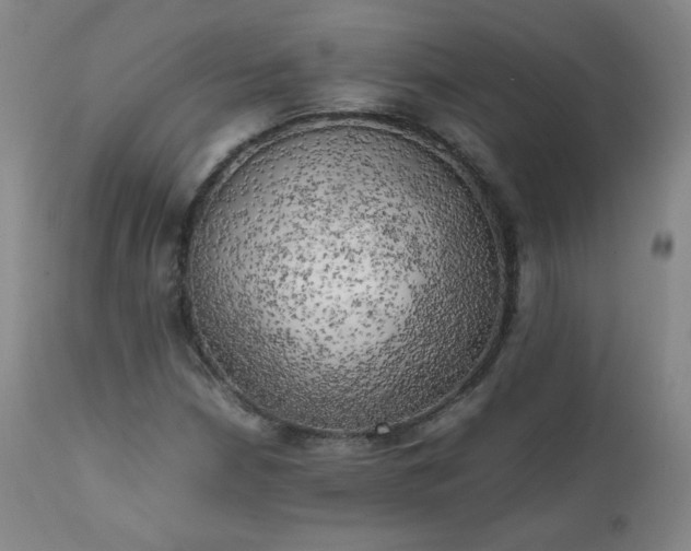 X0000111151210200906301329